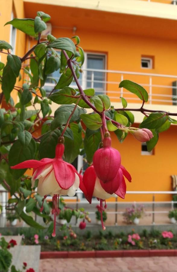 Отель Vila Oranj Костинешти Экстерьер фото
